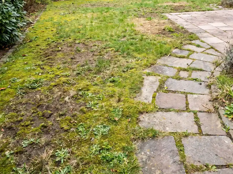 Unruhige Rasenfläche mit kahlen Stellen, Moos und ausgedünnten Bereichen im Garten