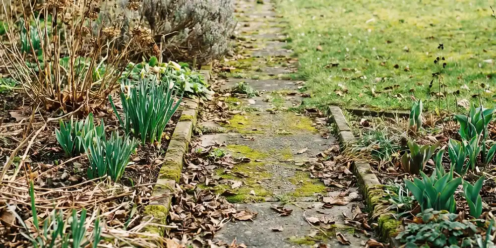 Privater Garten nach der Winterpause mit Beeten, Gartenweg und sichtbarem saisonalem Pflegebedarf