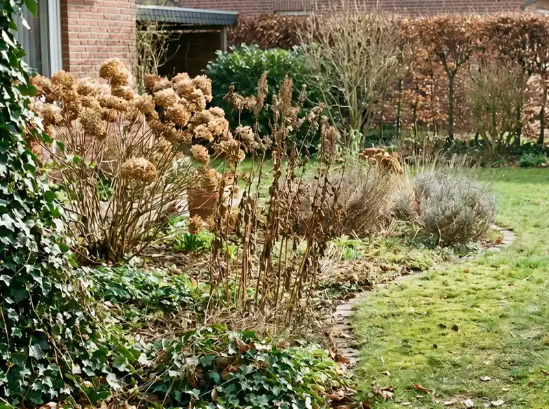 Privater Garten mit leichtem saisonalem Pflegebedarf an Beeten, Wegen, Kanten und Pflanzenbereichen